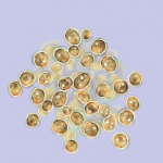 IsochrysisThumb